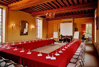Fiche d&eacute;taill&eacute;e salle "Salon des Glaces"